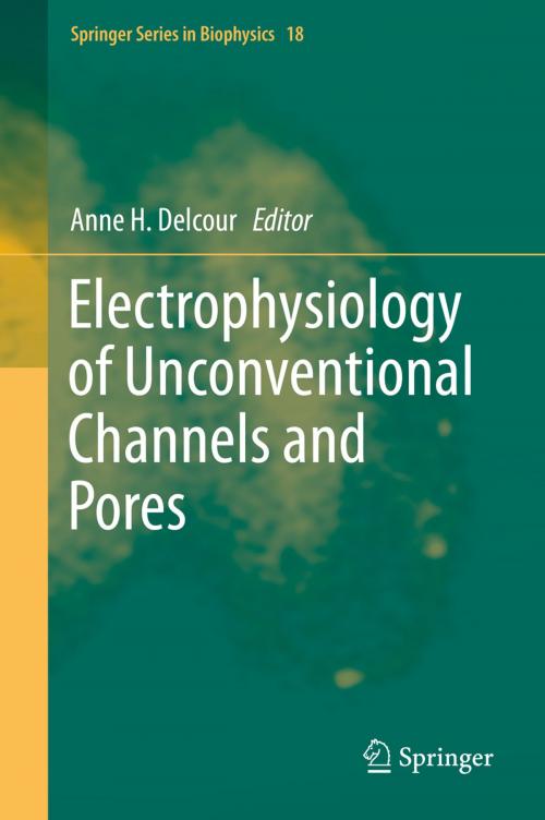 Cover of the book Electrophysiology of Unconventional Channels and Pores by , Springer International Publishing