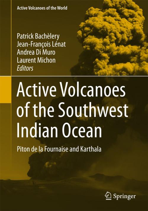 Cover of the book Active Volcanoes of the Southwest Indian Ocean by , Springer Berlin Heidelberg