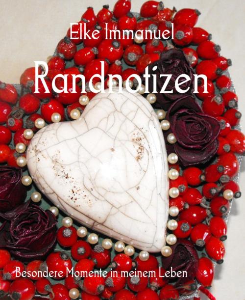 Cover of the book Randnotizen by Elke Immanuel, BookRix