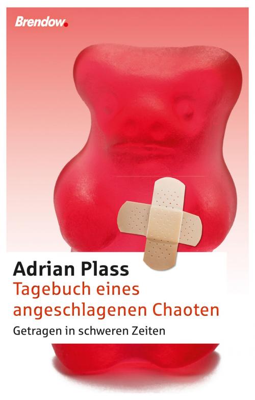 Cover of the book Tagebuch eines angeschlagenen Chaoten by Adrian Plass, Brendow, J