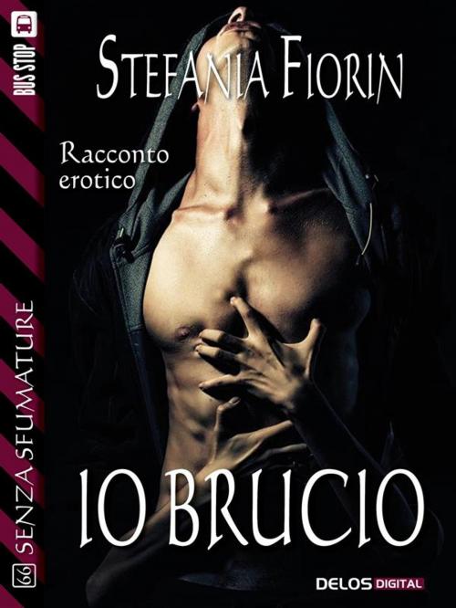 Cover of the book Io brucio by Stefania Fiorin, Delos Digital