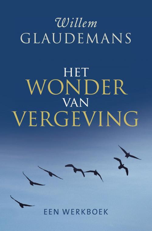 Cover of the book Het wonder van vergeving by Willem Glaudemans, VBK Media