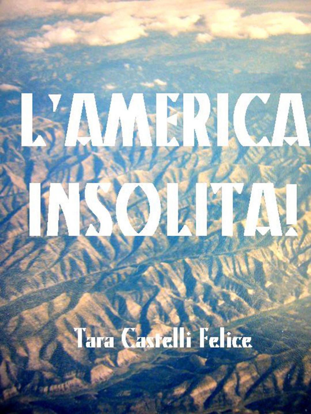 Big bigCover of America del Nord Altrimenti