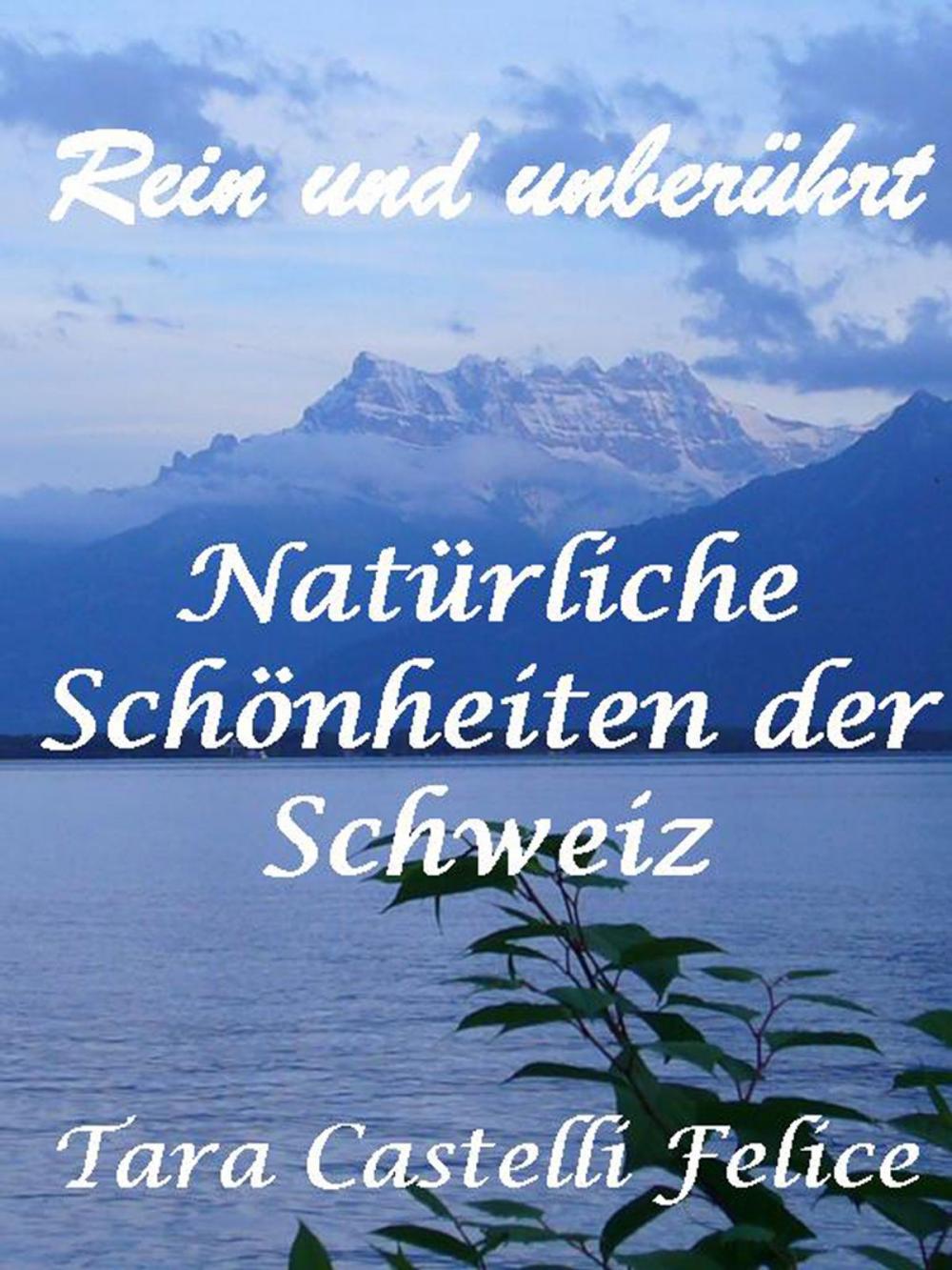 Big bigCover of Ein Spaziergang in der Schweiz