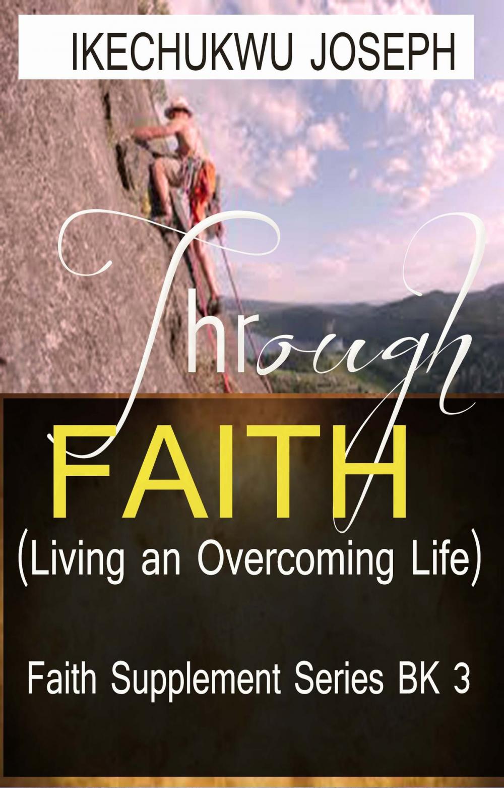 Big bigCover of Through Faith