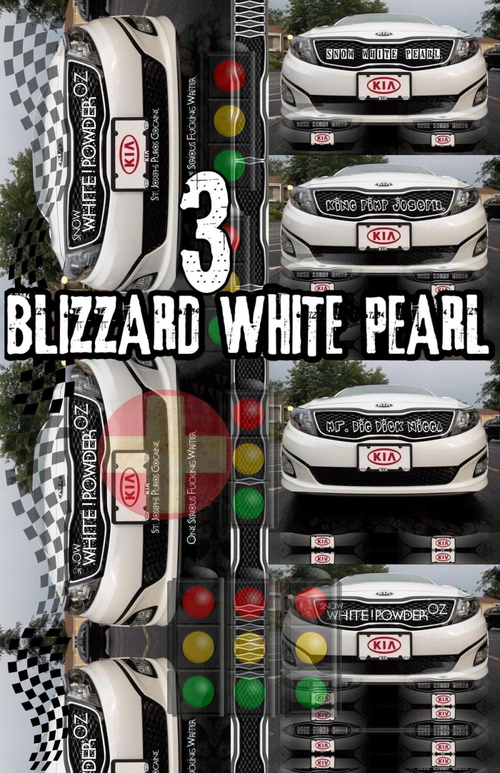 Big bigCover of Joseph. Blizzard White Pearl. Part 3.