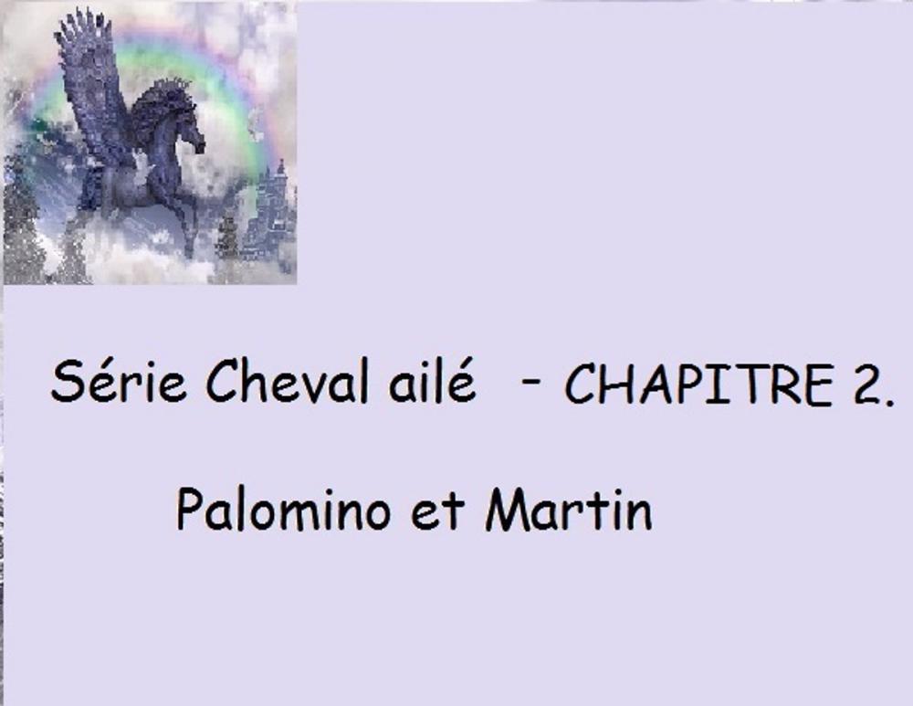 Big bigCover of Chapitre 2 - Palomino et Martin