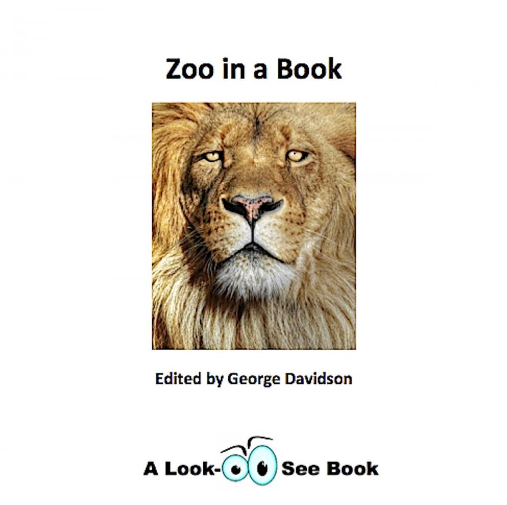 Big bigCover of Zoo in a Book