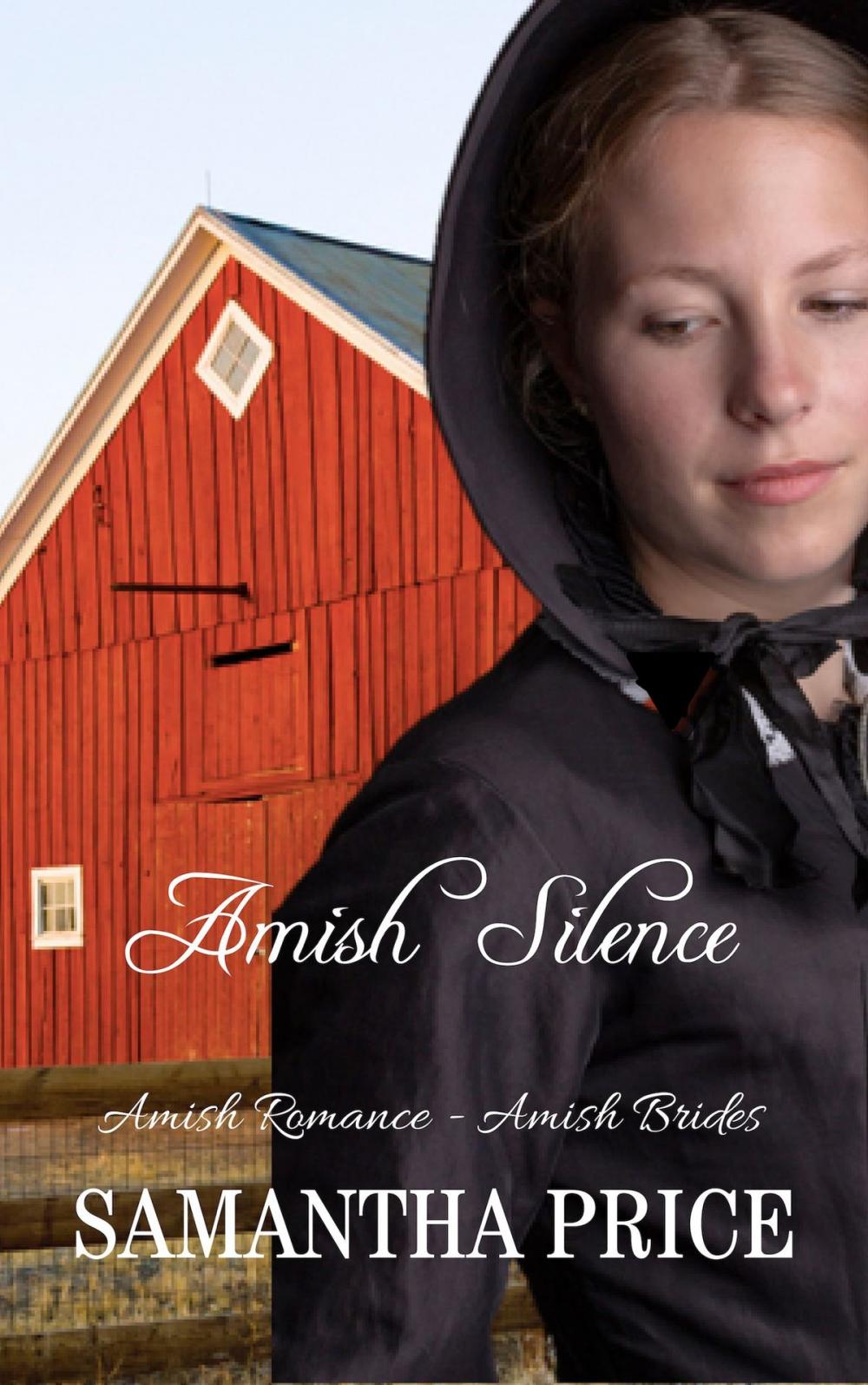 Big bigCover of Amish Silence