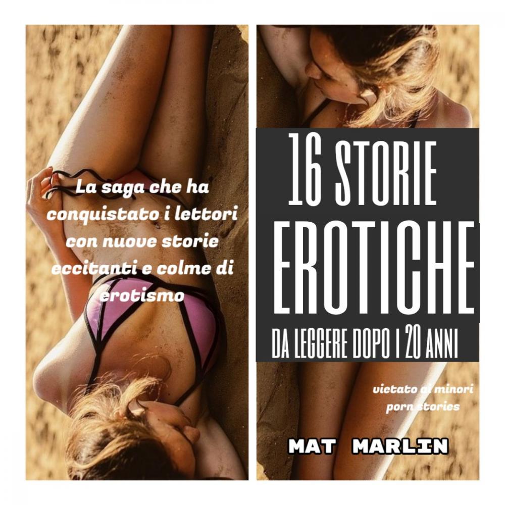 Big bigCover of 16 Storie Erotiche da leggere dopo i 20 anni (porn stories)