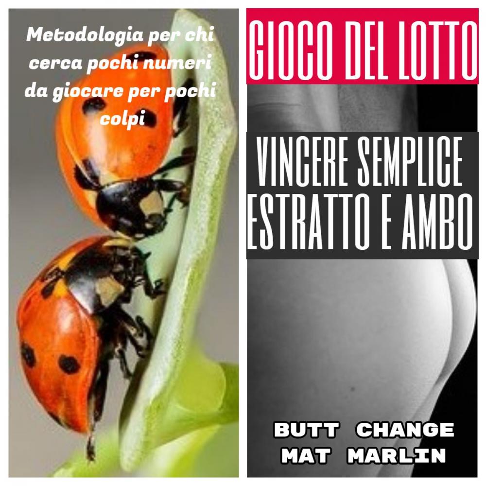 Big bigCover of Gioco del lotto: Vincere semplice Estratto ed Ambo