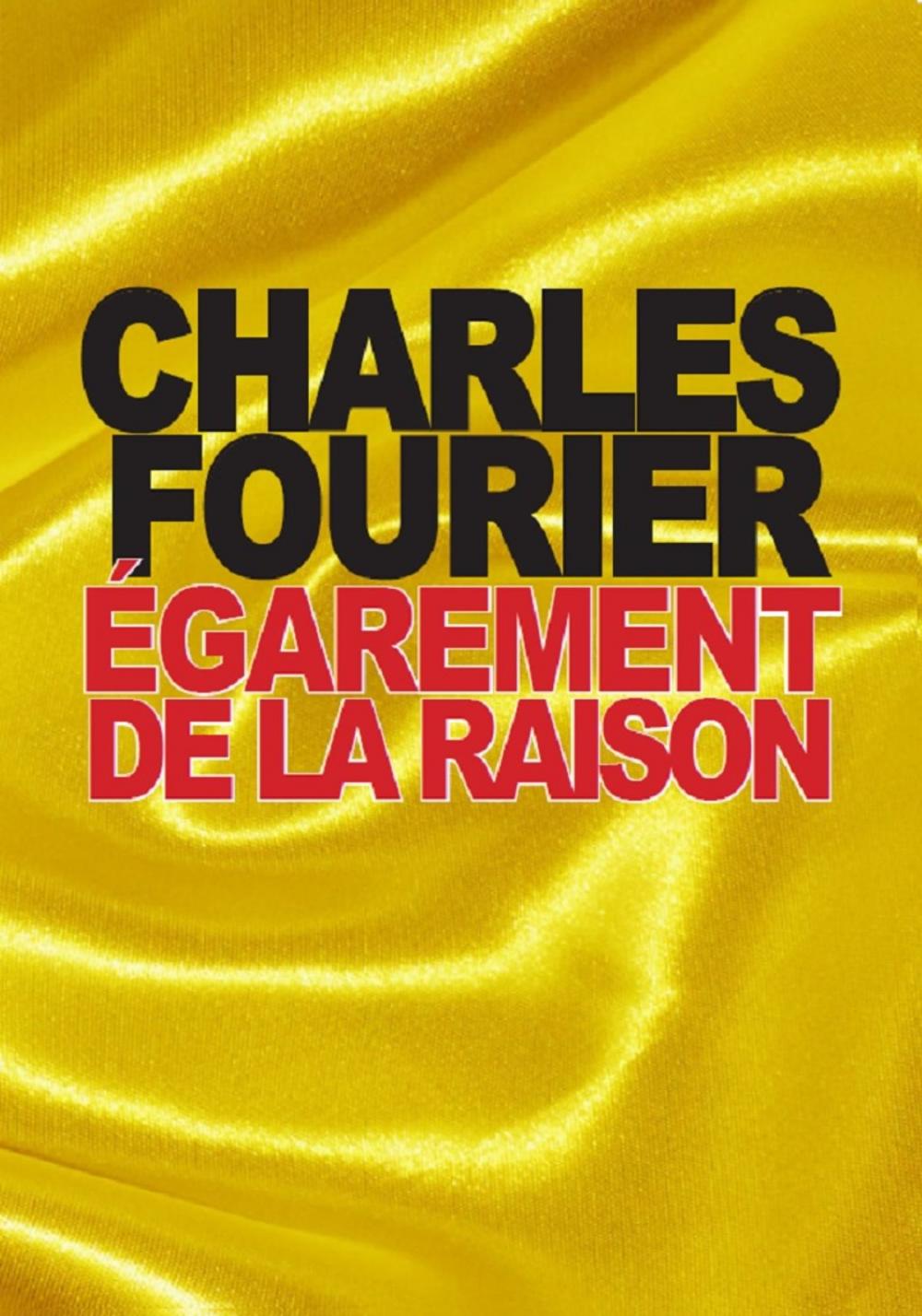 Big bigCover of Égarement de la raison