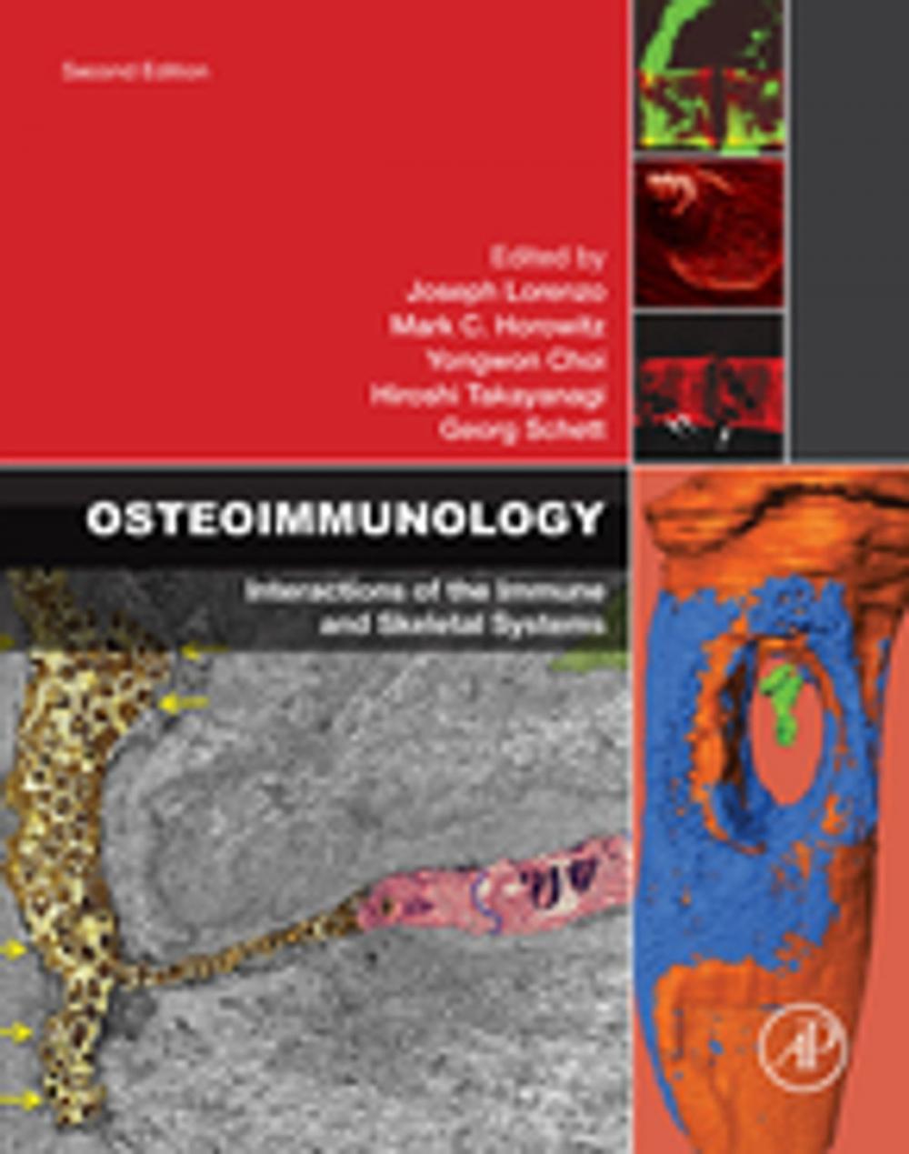 Big bigCover of Osteoimmunology