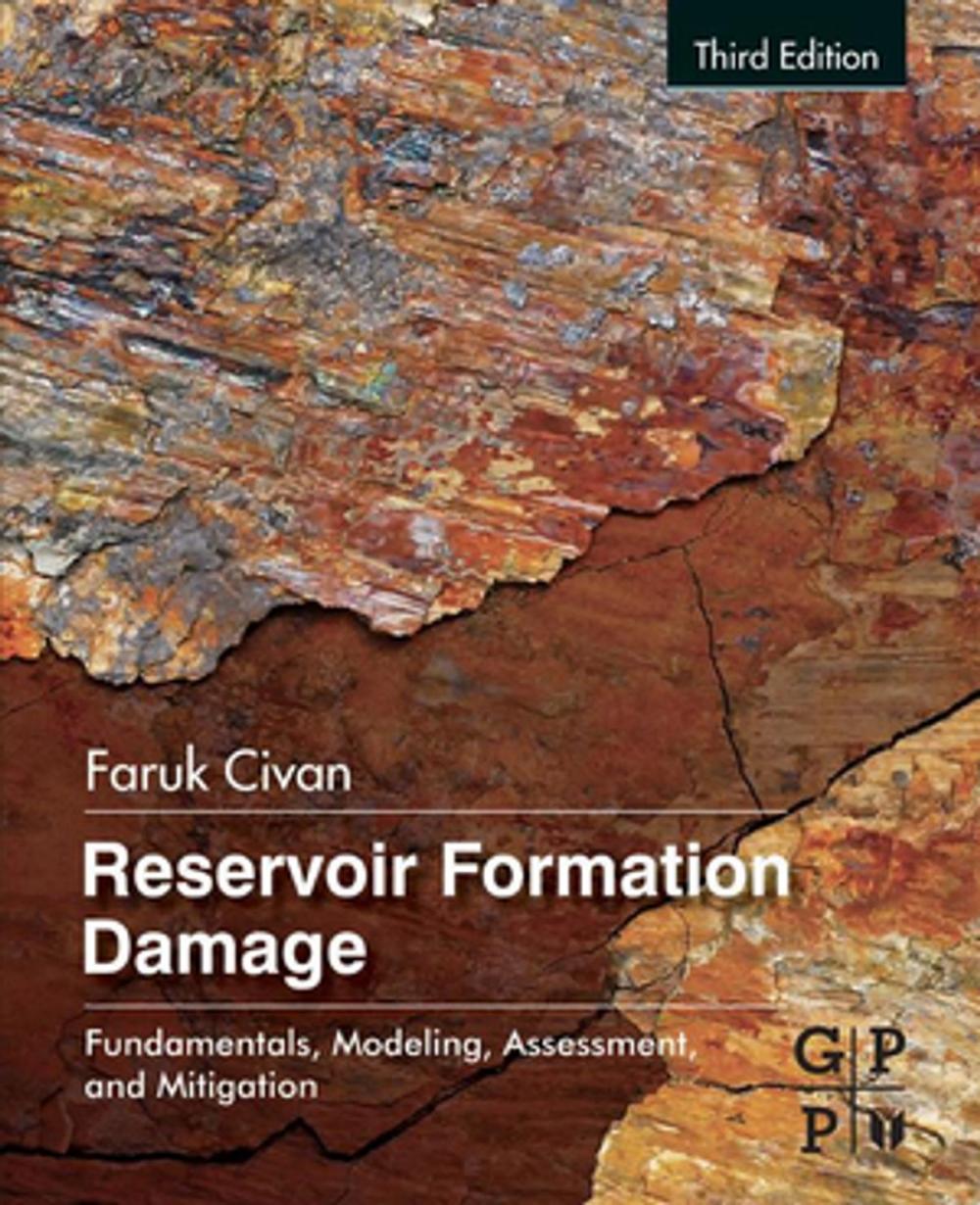 Big bigCover of Reservoir Formation Damage