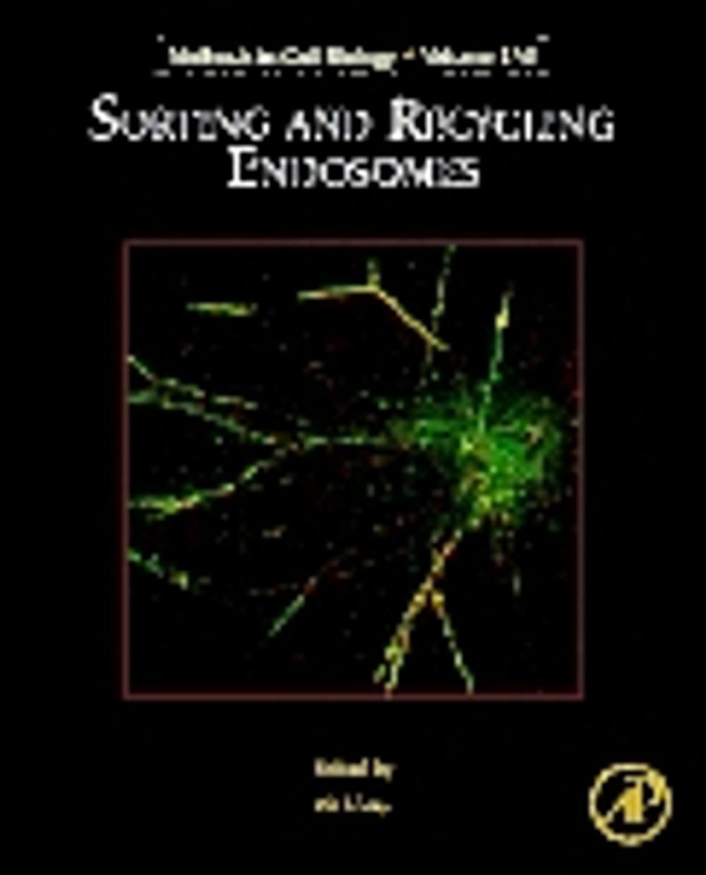 Big bigCover of Sorting and Recycling Endosomes