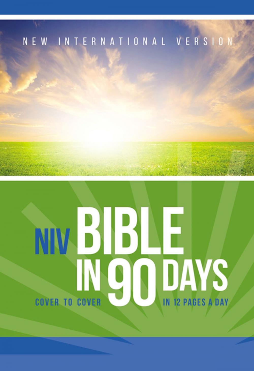 Big bigCover of NIV, Bible in 90 Days, eBook