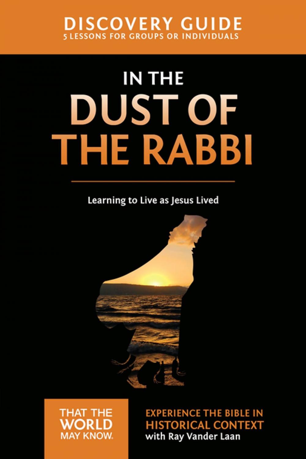 Big bigCover of In the Dust of the Rabbi Discovery Guide