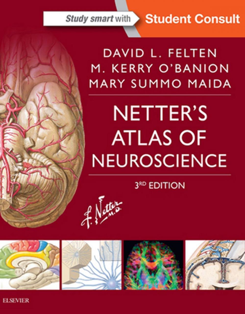 Big bigCover of Netter's Atlas of Neuroscience E-Book