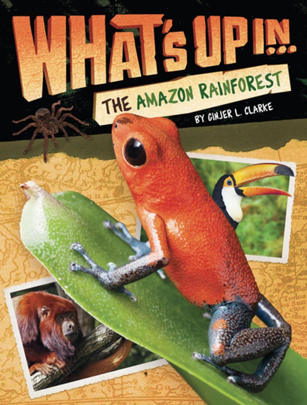 Big bigCover of What's Up in the Amazon Rainforest
