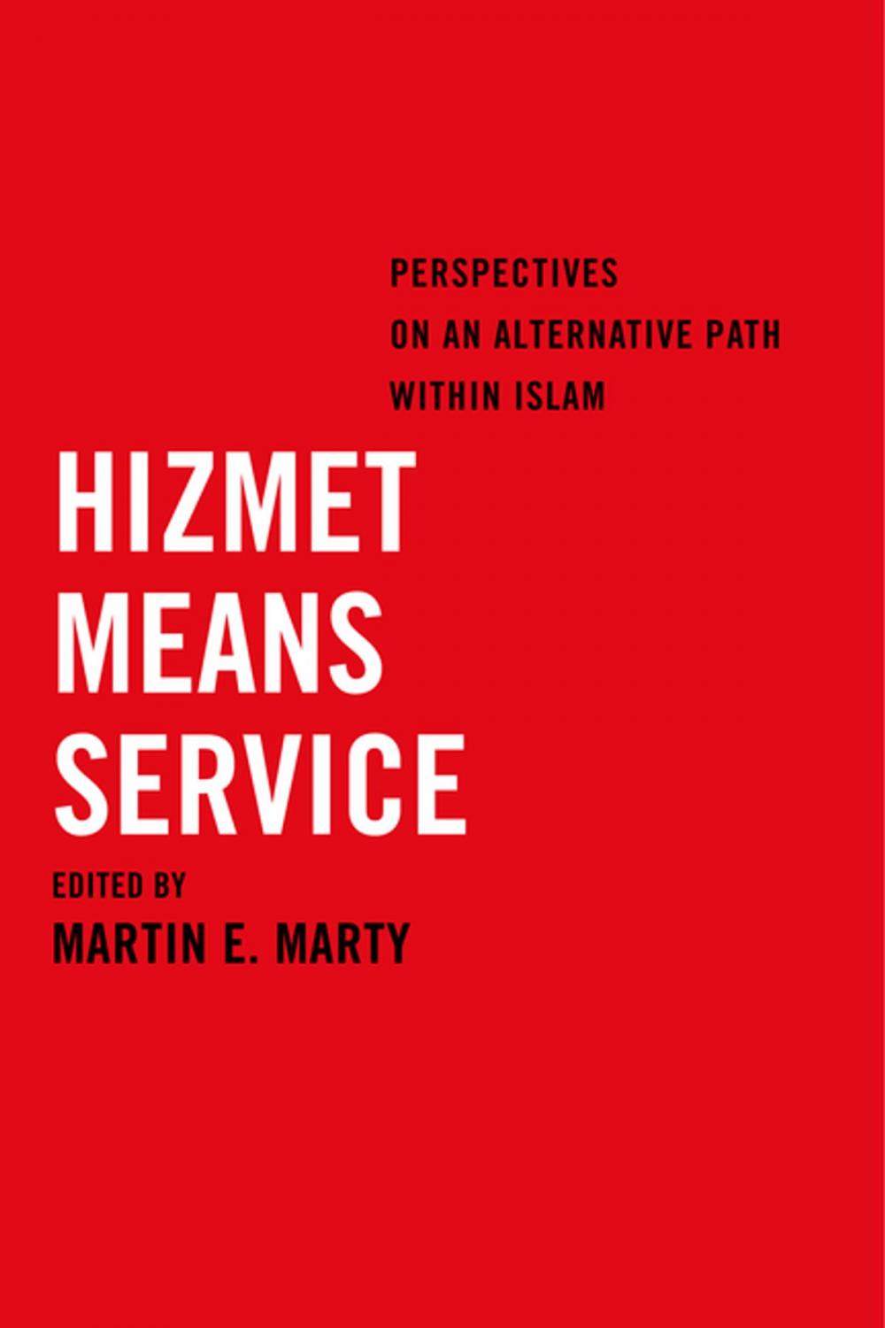 Big bigCover of Hizmet Means Service