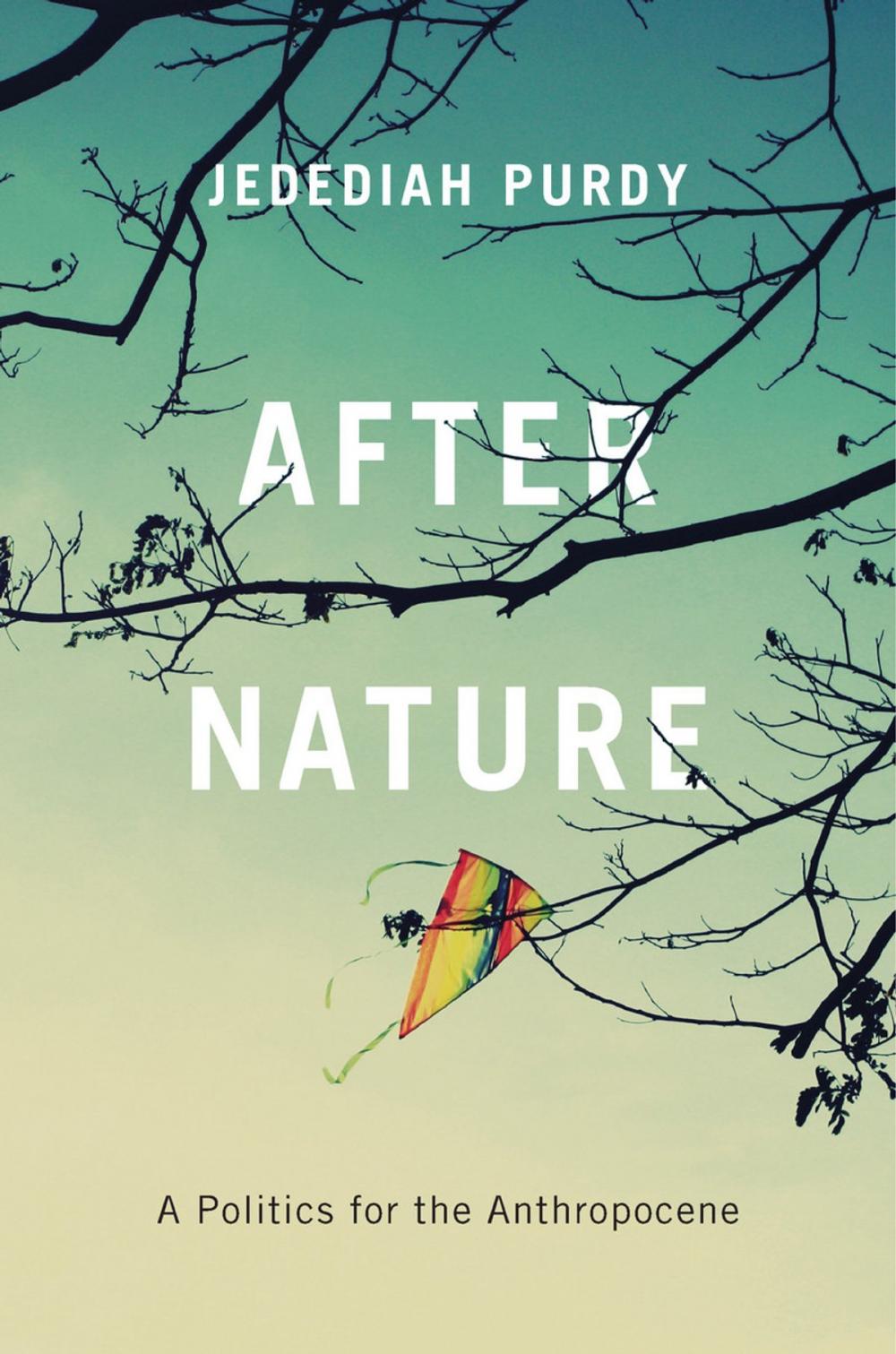 Big bigCover of After Nature