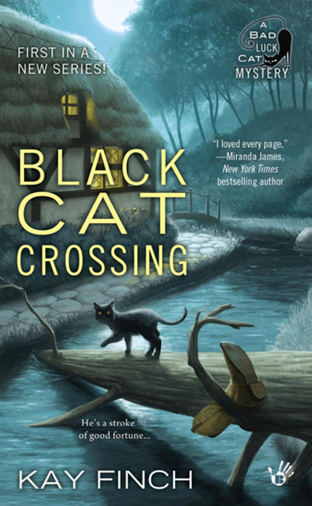 Big bigCover of Black Cat Crossing