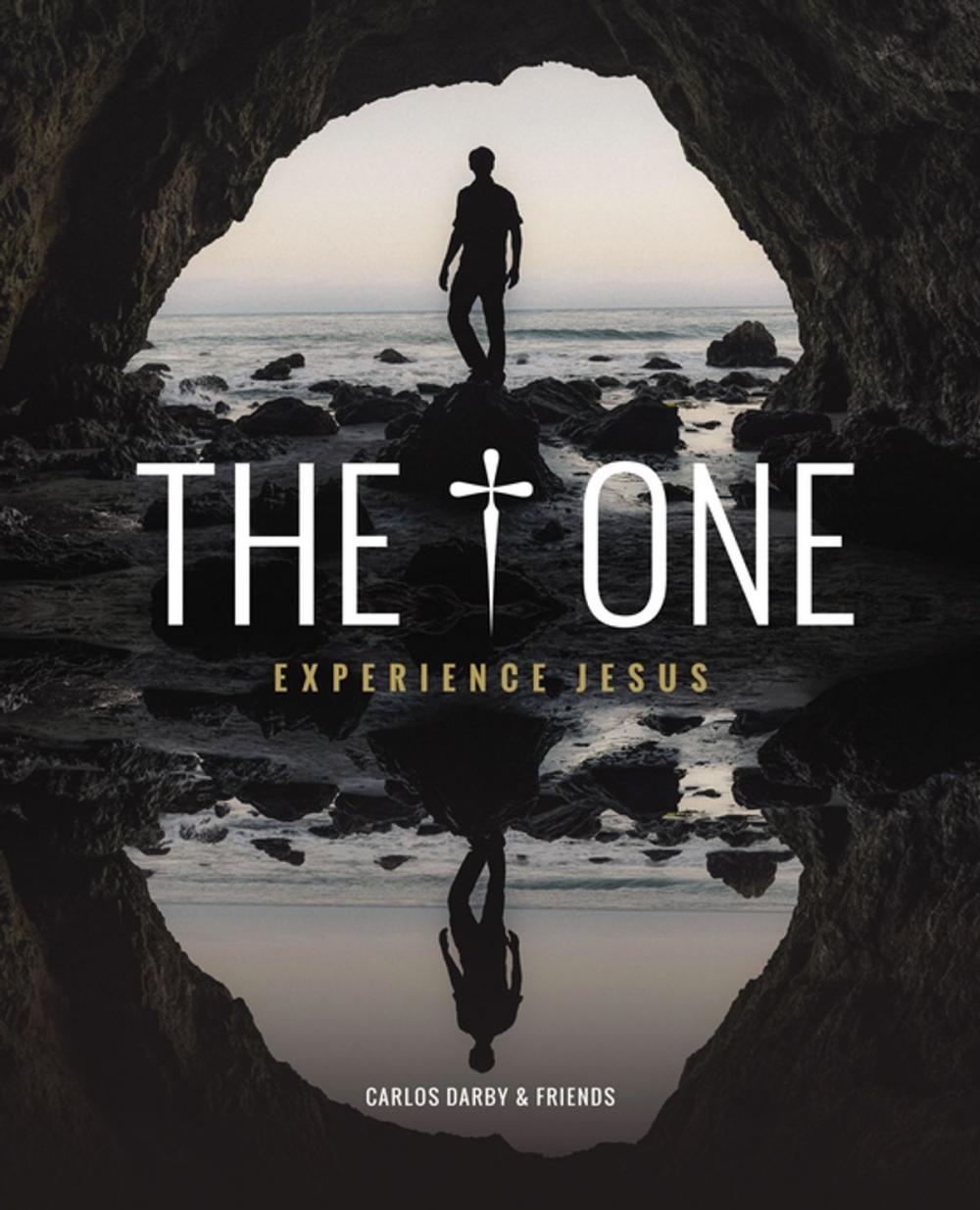 Big bigCover of The One