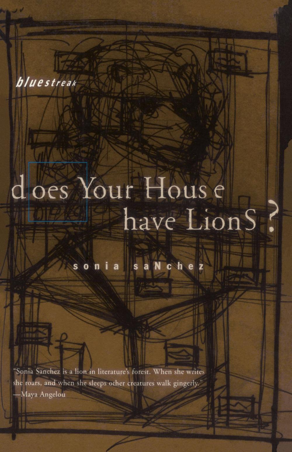 Big bigCover of Does Your House Have Lions?