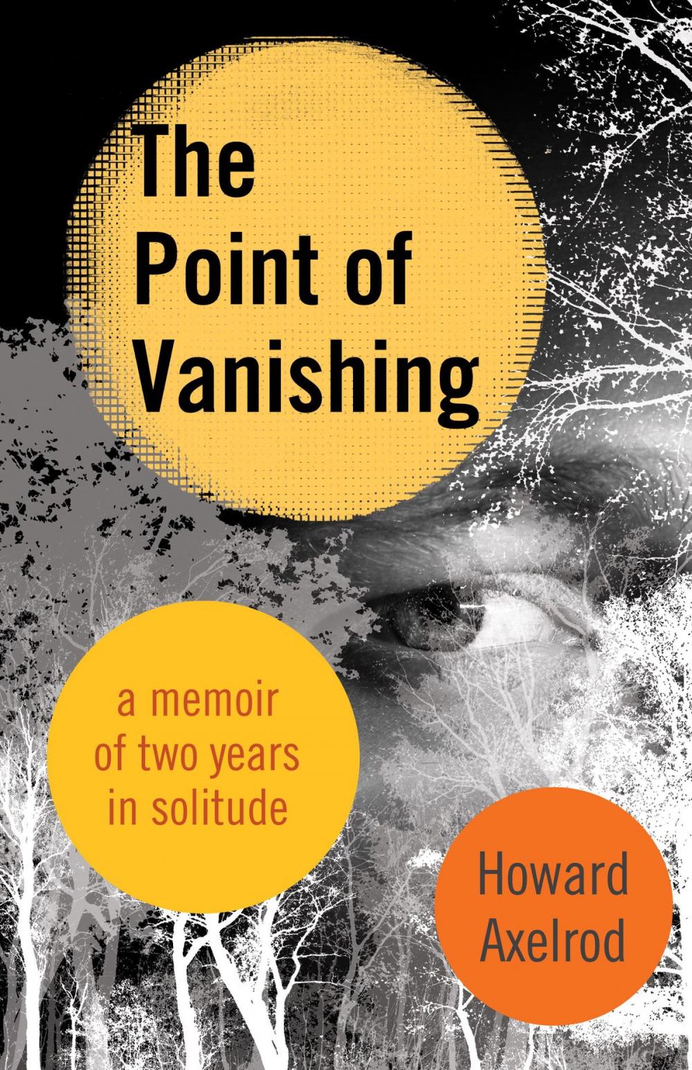 Big bigCover of The Point of Vanishing