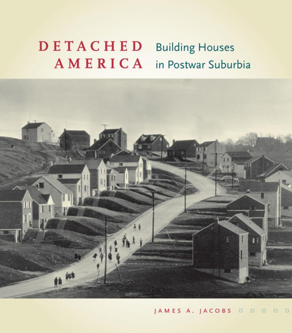 Big bigCover of Detached America