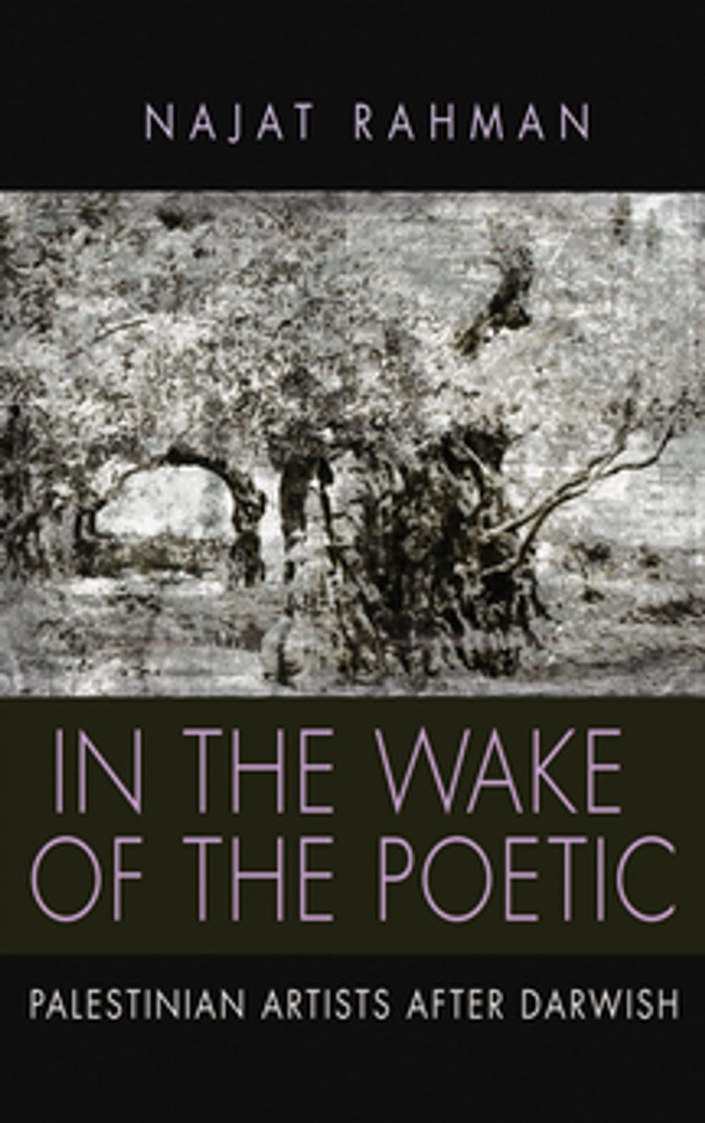 Big bigCover of In the Wake of the Poetic