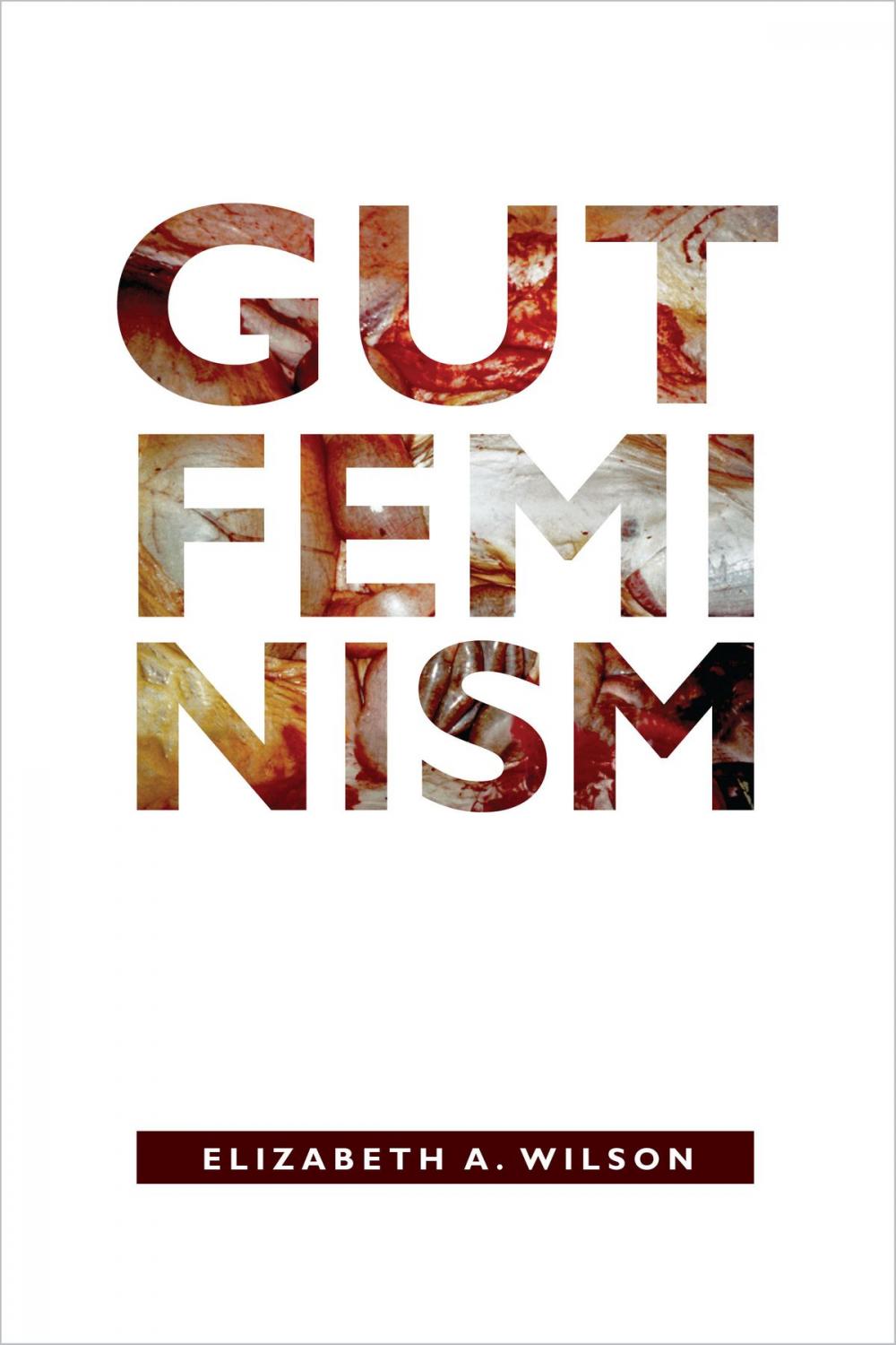 Big bigCover of Gut Feminism