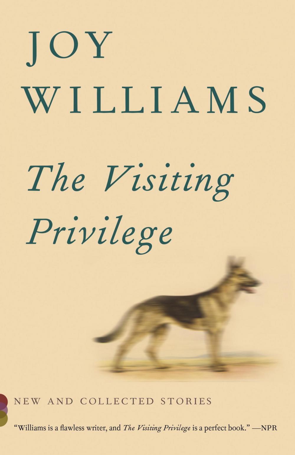 Big bigCover of The Visiting Privilege