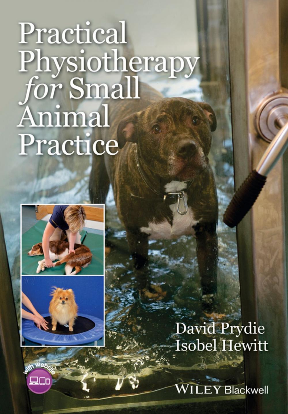 Big bigCover of Practical Physiotherapy for Small Animal Practice