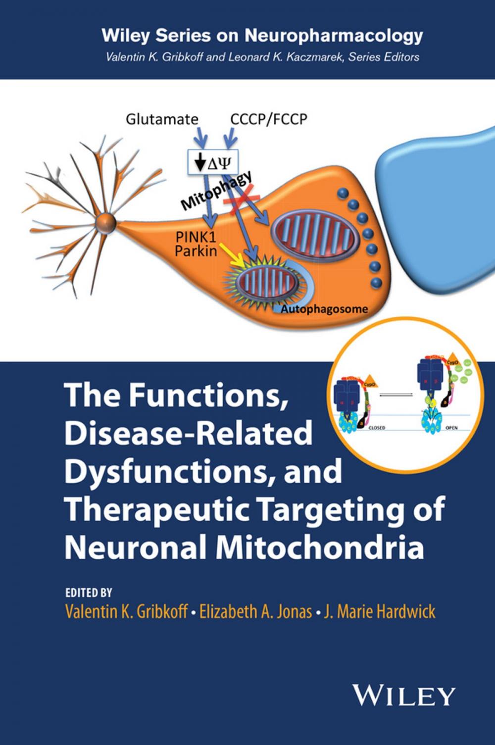 Big bigCover of The Functions, Disease-Related Dysfunctions, and Therapeutic Targeting of Neuronal Mitochondria