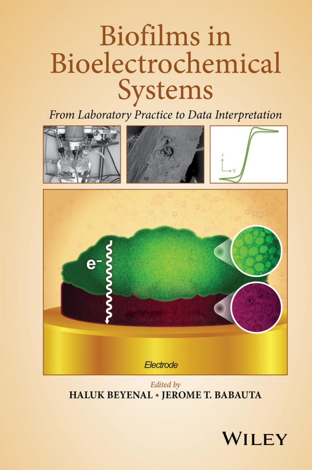 Big bigCover of Biofilms in Bioelectrochemical Systems