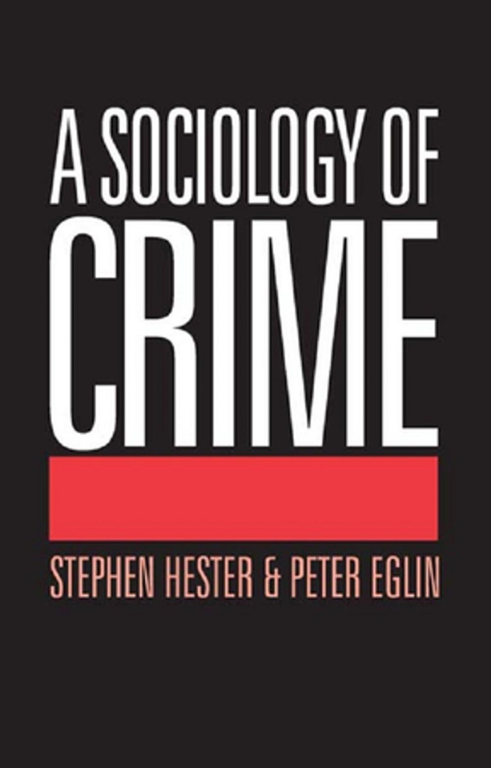 Big bigCover of A Sociology of Crime