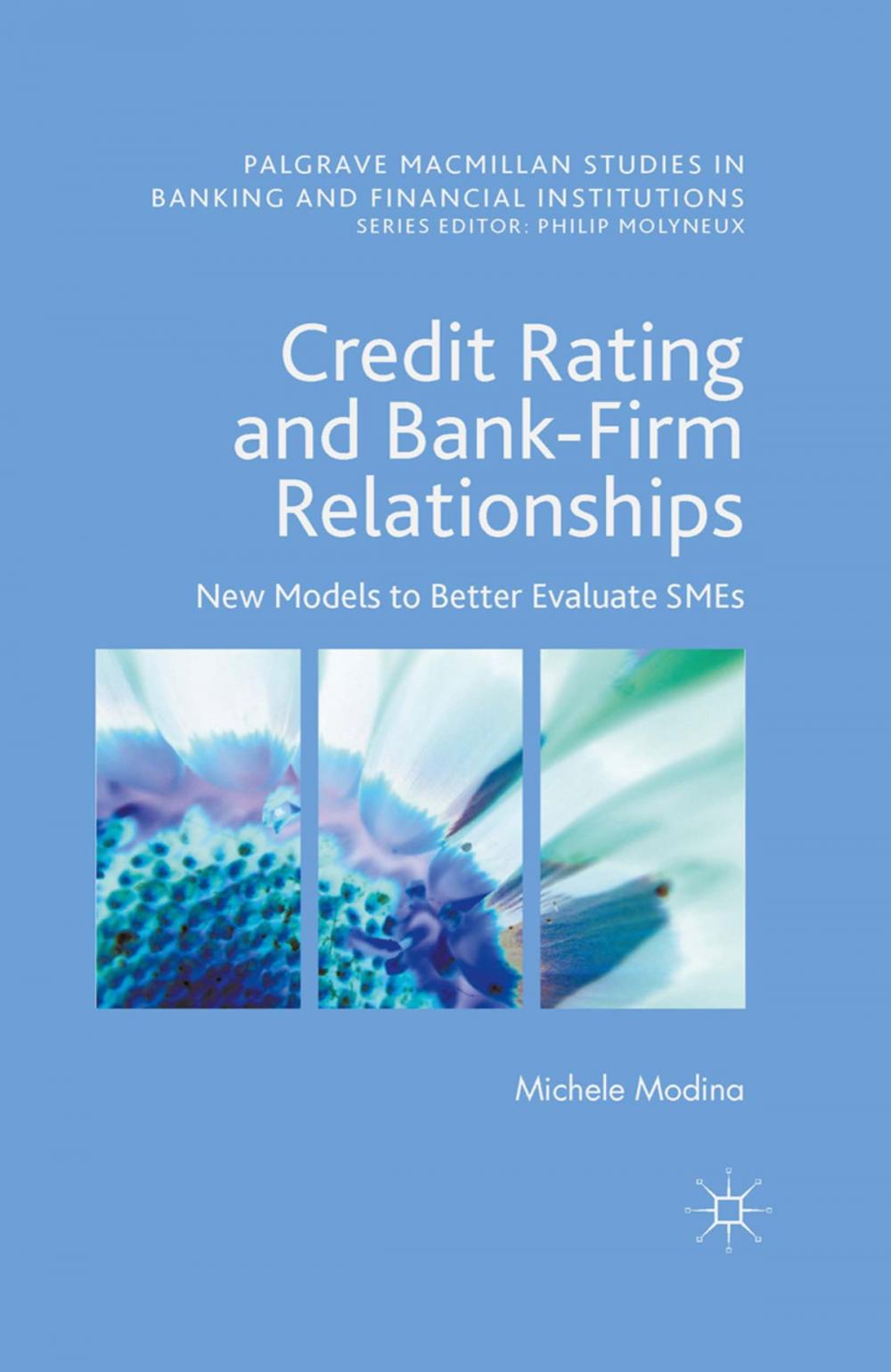 Big bigCover of Credit Rating and Bank-Firm Relationships