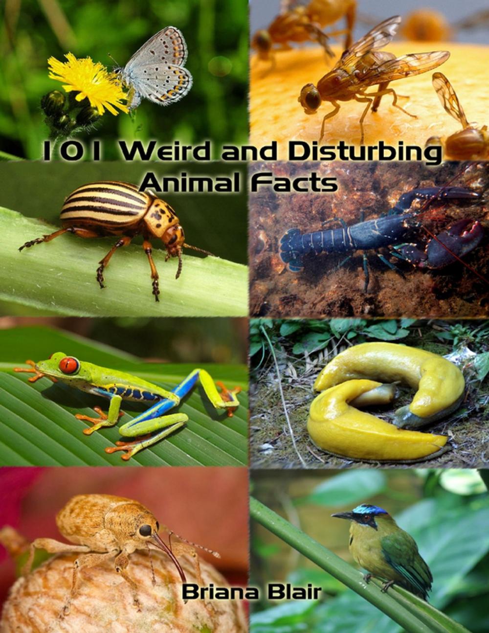 Big bigCover of 101 Weird and Disturbing Animal Facts