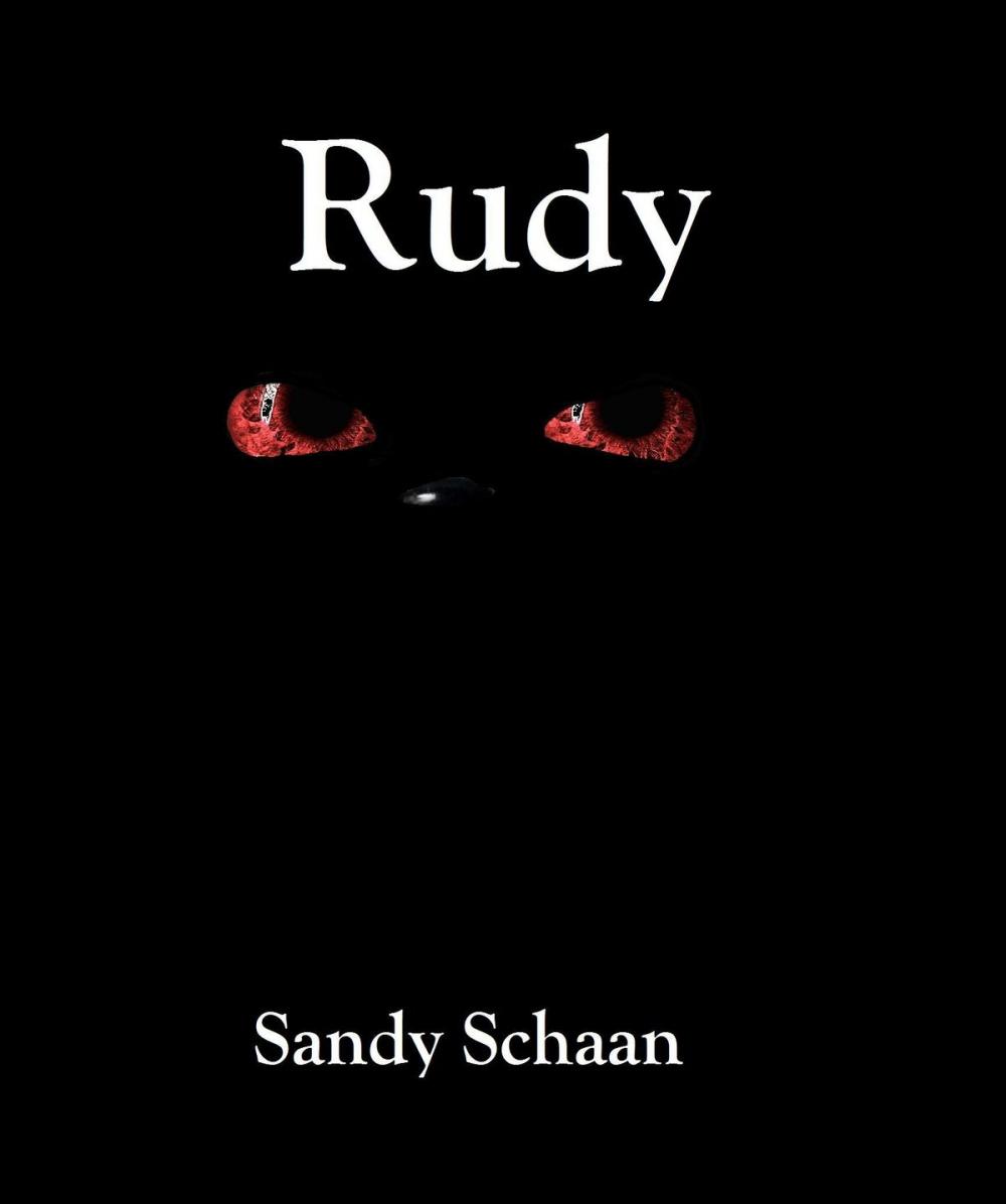 Big bigCover of Rudy