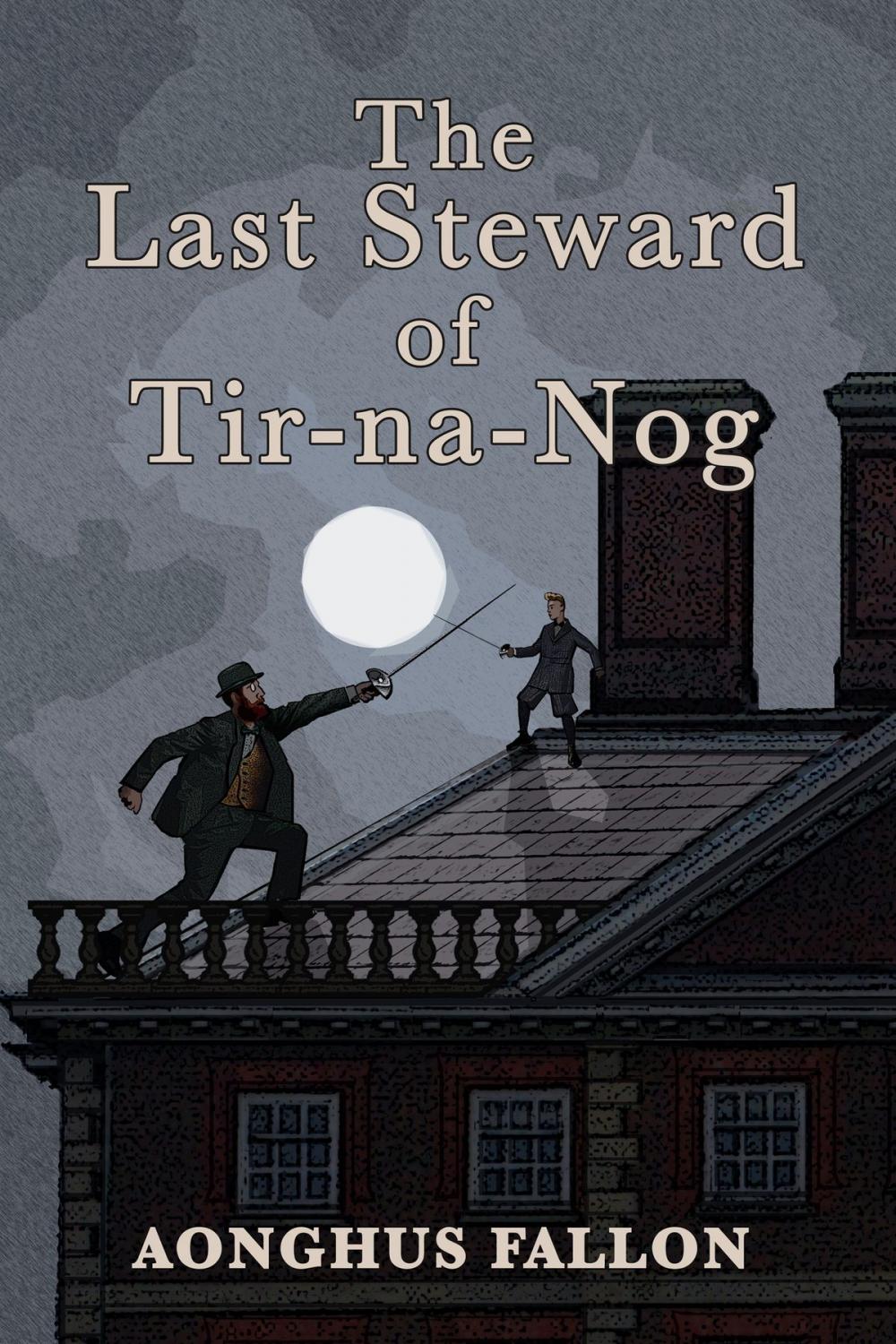 Big bigCover of The Last Steward of Tir-na-Nog