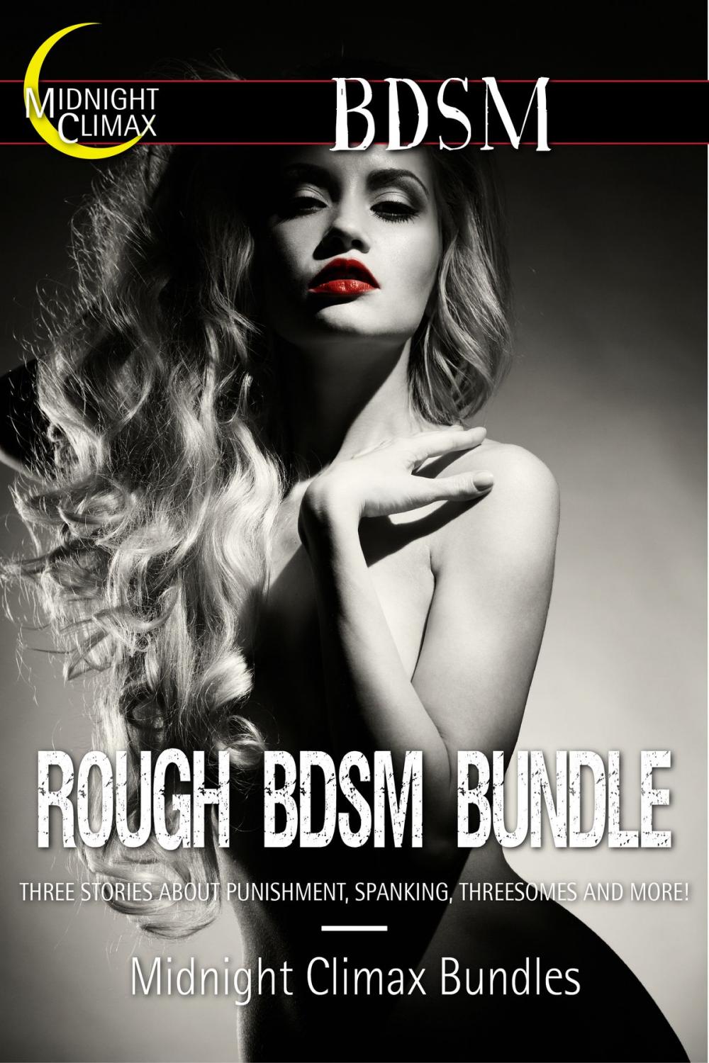 Big bigCover of Rough BDSM Bundle