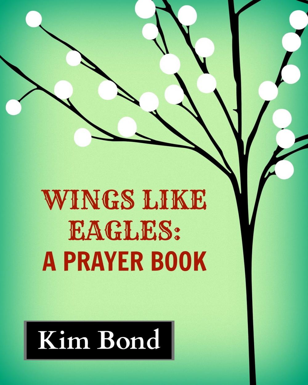 Big bigCover of Wings Like Eagles: A Prayer Book