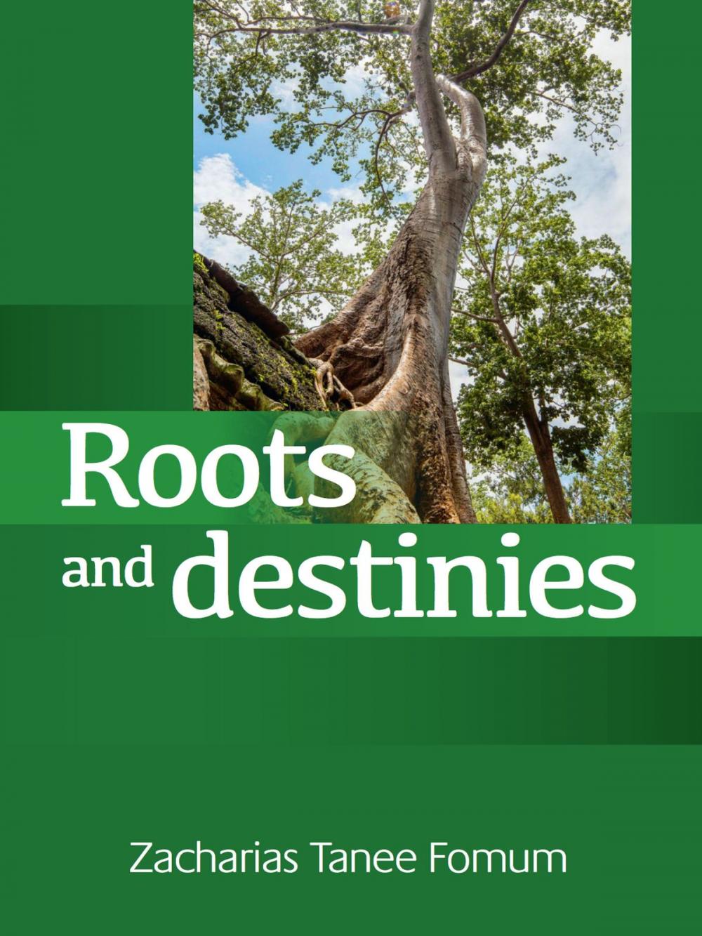 Big bigCover of Roots And Destinies (Dealing With The Past; Determining The Future)