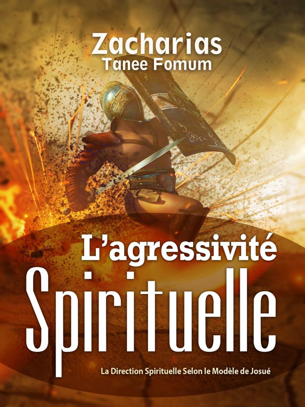 Big bigCover of L’Agressivité Spirituelle (La Direction Spirituelle Selon Le Modèle De Josué)