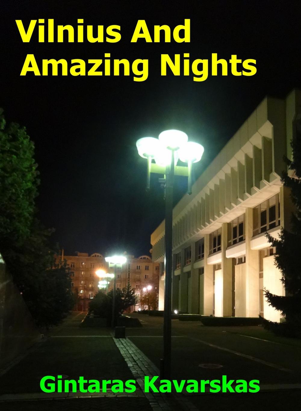 Big bigCover of Vilnius And Amazing Nights