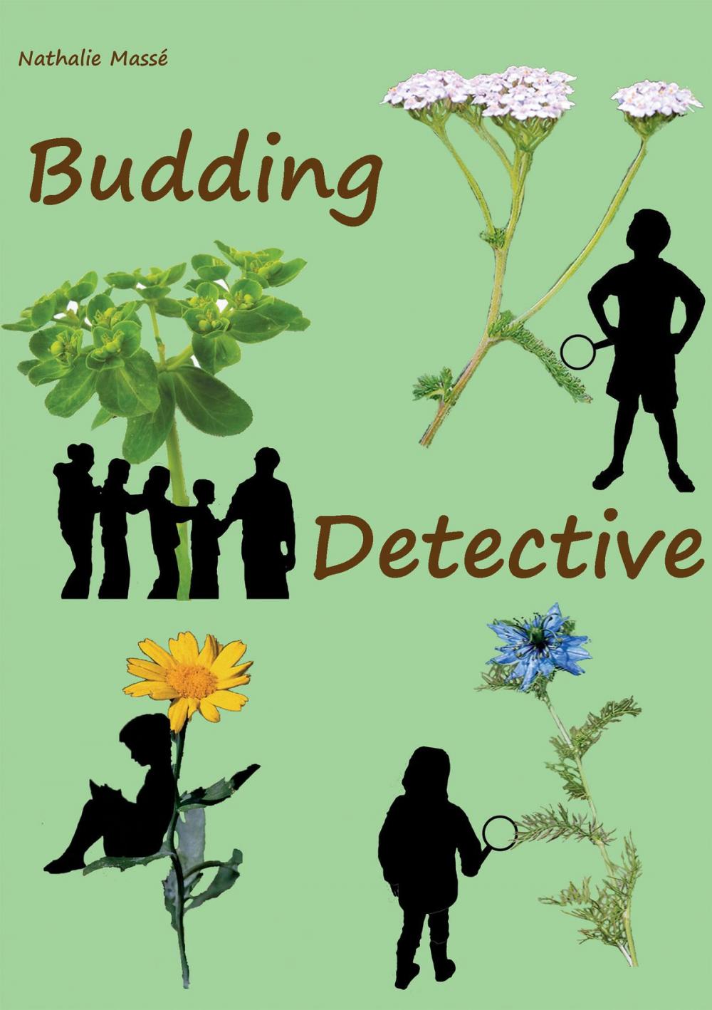 Big bigCover of Budding Detective