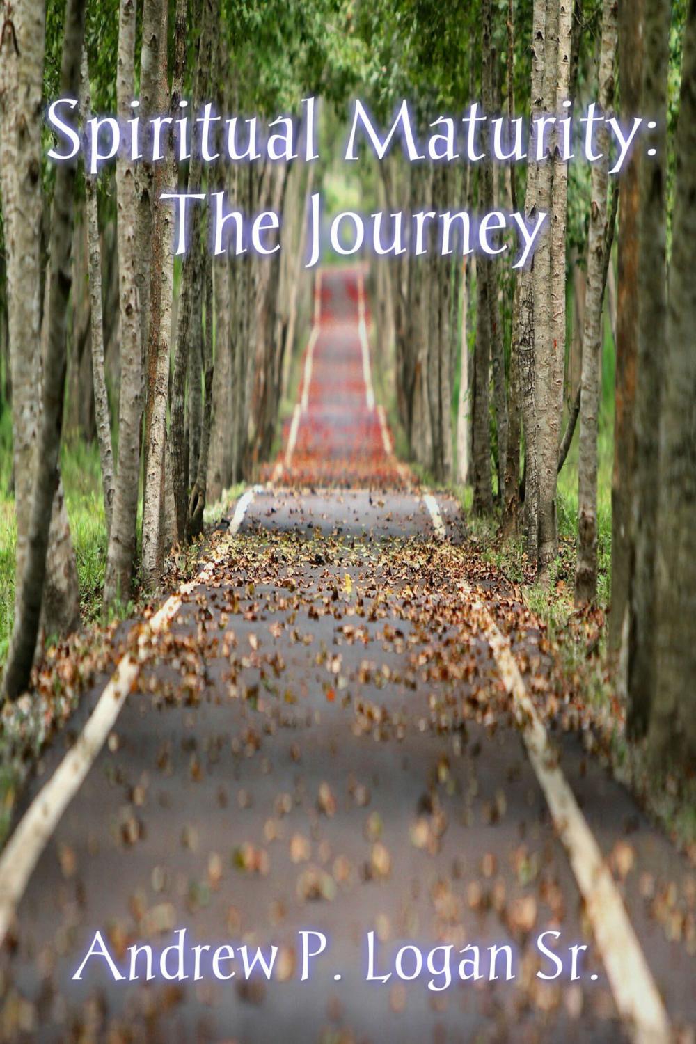 Big bigCover of Spiritual Maturity: The Journey