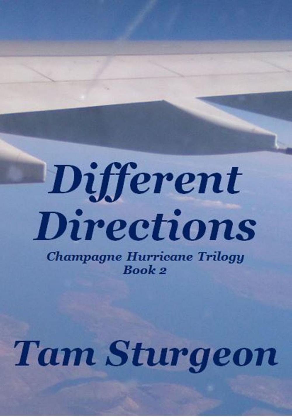 Big bigCover of Different Directions: The Champagne Hurricane Trilogy - Book 2