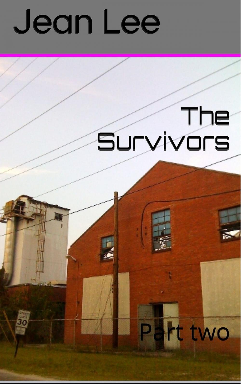 Big bigCover of The Survivors Part Two The Anomaly Series